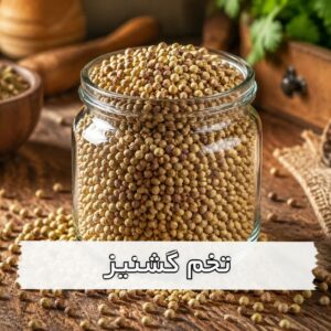 تخم گشنیز