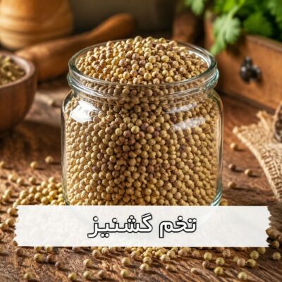 تخم گشنیز